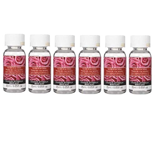 Hosley Box of 6 Premium Grade Concentrated Rose Scented Warming Oil for Aromatherapy 25 Milliliter Each Ideal Gift for Weddings spa Reiki Meditation Bathroom Settings