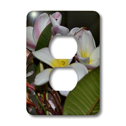 Cache-prise 2 fleurs hawaïennes 3dRose LSP_59180_6 pour interrupteur mural - 3