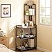 GILLAS 5 Tier Corner Shelf Stand, Freestanding Corner Shelf Unit Bookshelf, Corner Table with Shelf, Tall Storage Organizer Rack for Living Room, Bedroom, Office. Small Space, Metal, Country Rustic
