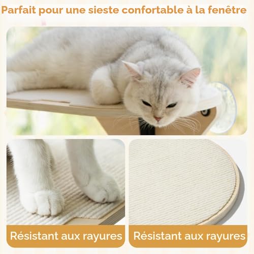 Hamac de fenêtre pour chat ventouse forte anti chute bois