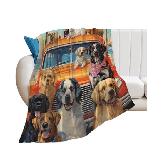 Couverture polaire pour chien idéale pour protéger le canapé le soir - 5