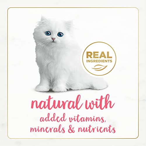 Image of Purina Fancy Feast Grain Free Pate Wet Kitten Food Gourmet Naturals Wild Alaskan Salmon Recipe - (Pack of 12) 3 oz. Cans