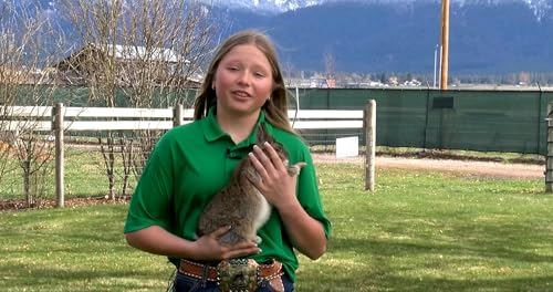 Episode 102 Teen 4-H member raises Netherland rabbits as Easter symbols of spring