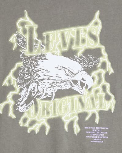Ss Relaxed Fit Tee Lightning Eagle Smoke – Ansicht 5