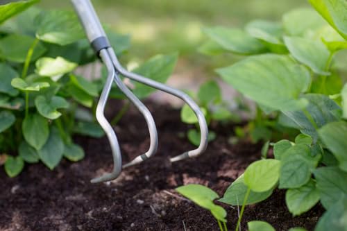 Cultivateur 3 dents manche courbé Ergonomic™ manche T - vue 5
