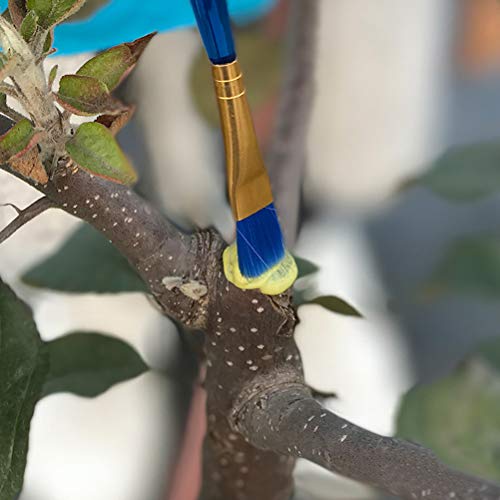 OEBUAFI Pasta de Injerto de Bonsái, Agente Curativo de Heridas de Plantas, Fórmula de Reparación para Mantenimiento de árboles con Cepillo para Jardineros, 100g (Colores variados)