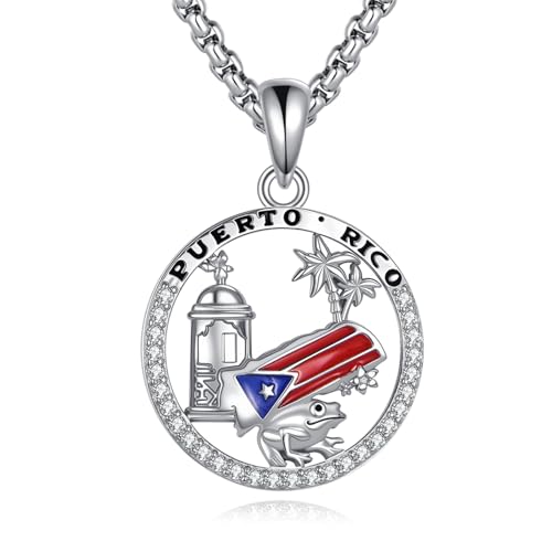 Collier Porto Rico argent avec pendentif grenouille Coquí, bijou drapeau pour homme femme