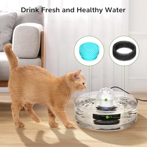 Image of 6 Packs Cat Fountain Filters & 6 Sponge Sets-Compatible with Cepheus 2.7L Glass Pet Fountain