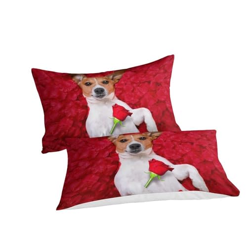 Housses de couettes microfibre 3 pièces lit double avec fermeture éclair King