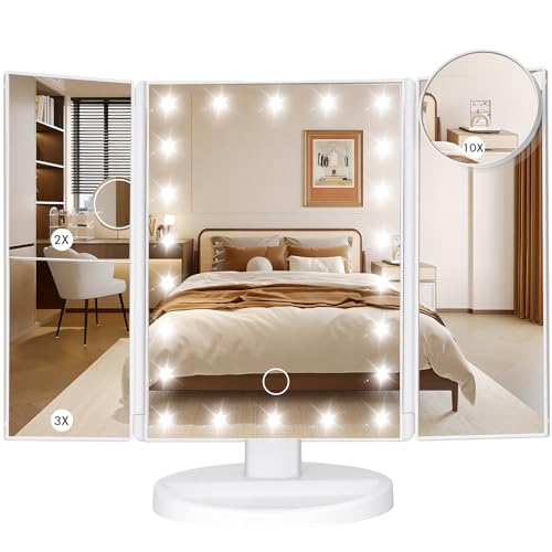 LeeWent Makeup Mirror Vanity Mirror with Lights, Bathroom Adjustable Brightness Mirrors 1X/2X/3X/10X...