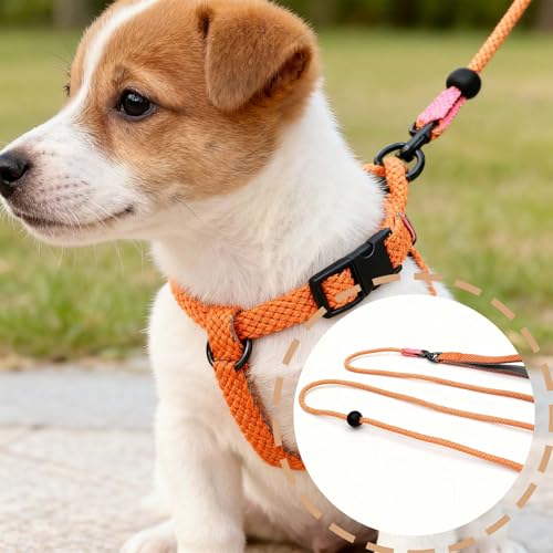 Rieoany Retrieverleine mit Zugstopp, 6mm x 180cm Hundeleine für kleine, mittlere und große Hunde, Zugstopp Halsband Hund, Leichte Hundeleine mit Halsband, Retrieverleine für Training und Spaziergang