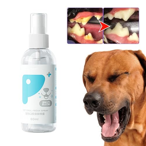 ペットクリーントゥーススプレー、犬用口臭消臭剤 | ペット用歯のクリーニングスプレー 60ml - 犬の歯を徹底的に掃除するスプレーは、家庭用屋外旅行用に臭いを取り除き、息を爽やかにします。