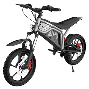 Gotrax Astra Electric Dirt Bike, 16″ Pneumatic Tires, Max 16 Mile and 15.5Mph Speed Power by 350W Brushless Motor, Dual Suspension & Disc Brake, Electric Dirt Motorcycle for 8+ Years Old, Black