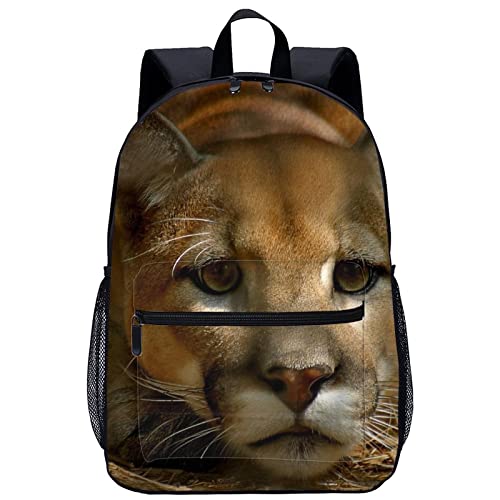 Mochilas escolares para niños y niñas adolescentes con diseño 3D moderno