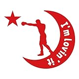 ボクシング 格闘技 ステッカー シー