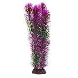 Underwater Treasures Ambulia - Purple - 16