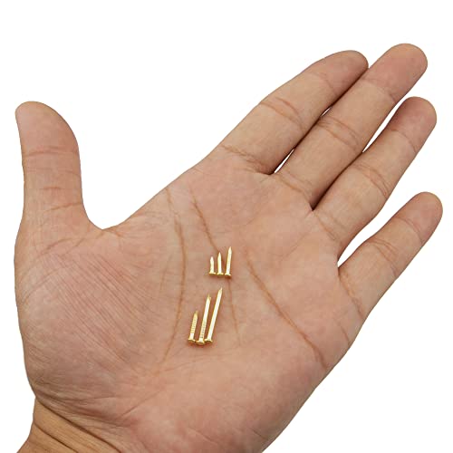 Rrina 1200Pcs Small Tiny Nails Carbon Steel Brass Plated for Wooden DIY Micro Mini Nails M1.2/1.5 Assortment Kit 6 Sizes - Image 2