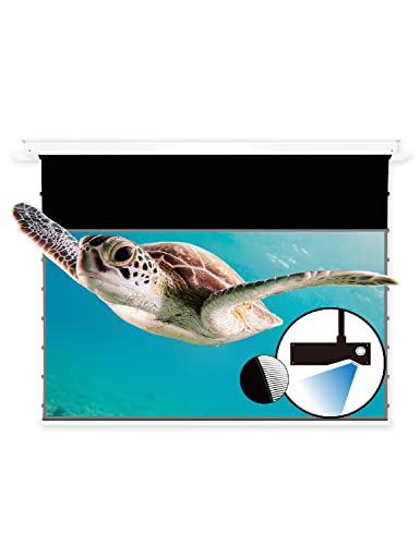 VIVIDSTORM Since 2004-110