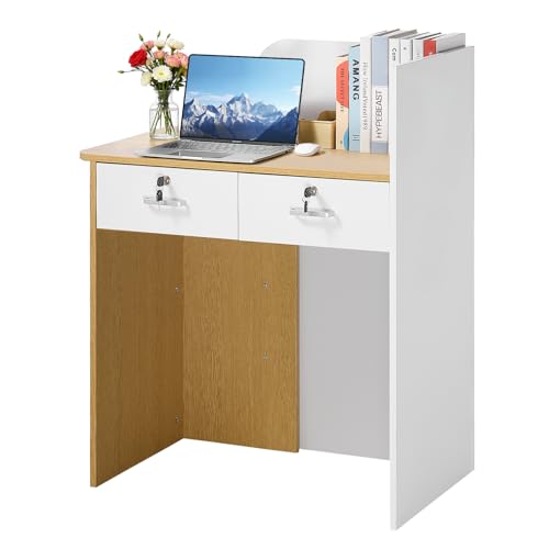 VEVOR Mostrador de Recepción 80 x 45 x 100 cm, Mesa de Recepción Material de Tablero de Partículas con Luz LED y 2 Cajones, Mostrador de Recepcionista para Caja, Vestíbulo, Salón de Belleza, Oficina