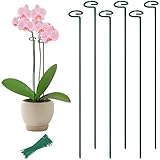 36” Tall Plant Stakes, 6 Pack Plant Support Stakes,6mm Heavy-Duty Metal Garden Stakes, Flower Stakes for Lilies, Dahlias, Gladiolus, Sunflowers, Tomato, Clematis