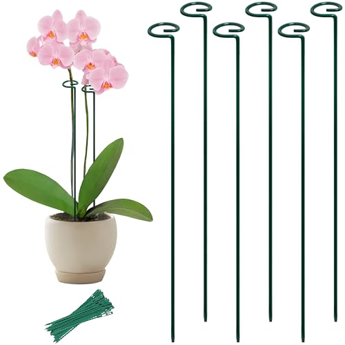 36&rdquo; Tall Plant Stakes, 6 Pack Plant Support Stakes,6mm Heavy-Duty Metal Garden Stakes, Flower...