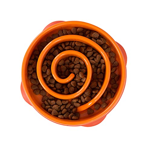 Hundenapf Slow Feeder, Rund Mit Labyrinth-Design – Verlangsamt Fressen, Rutschfest, Für Kleine Hunde & Katzen