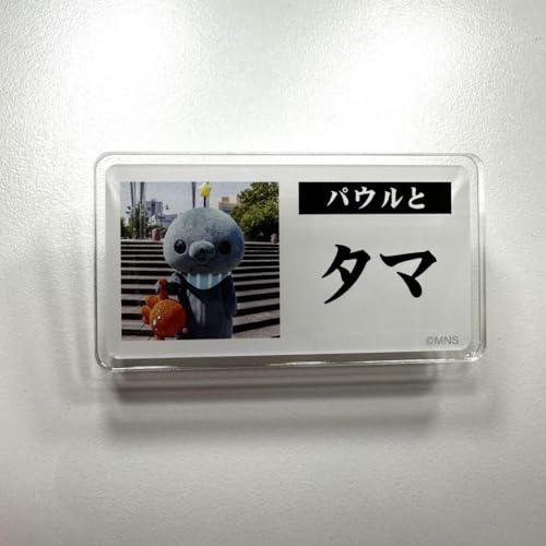 教育番組 タマ」の人気商品一覧 | 安い商品を通販サイトから探す