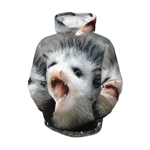 Possum Hissing Boy, Girls Sports Shirt Youth Pullover Fashion Hooded Sweatshirt4