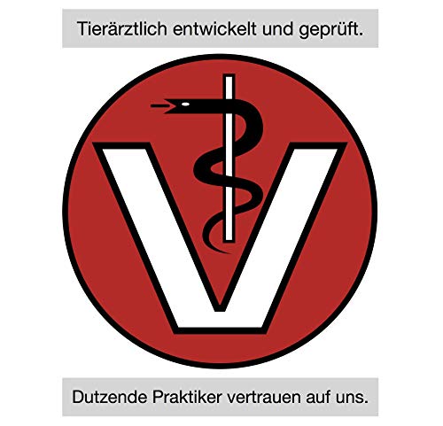FeliMove dental - Liquid für Katzen mit Vitalpilzen, Propolis, EPA und Zink (auch bei FORL, Entzündung oder Rötung des Zahnfleisch verträglich)