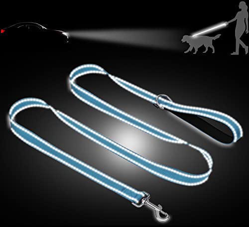 Taglory Nylon Dog Leash 6Ft, Soft Padded Handle Pet Reflective Leashes For Puppy Small Medium Dogs Walking & Training, Sky Blue #TOP1