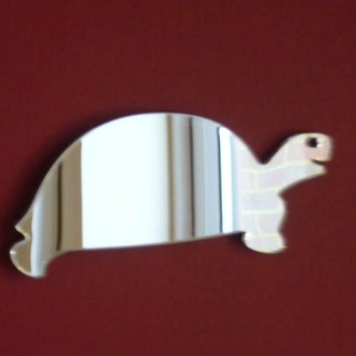 Super Cool Creations Tortoise Mirror 20cm x 16cm Shatterproof Acrylic