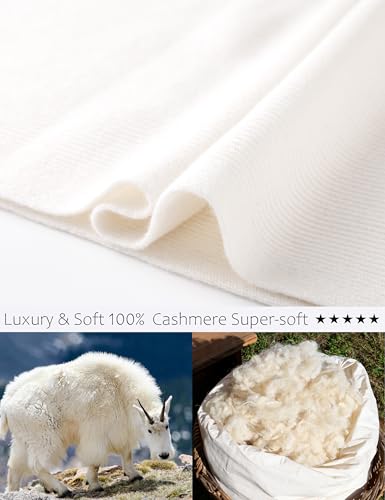 Elegant 100% Cashmere Scarf for Women Luxury Warm Scarves with Gift Box4
