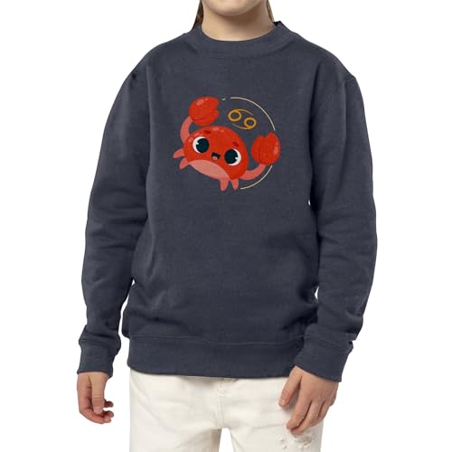 Sweat Cancer enfant : cadeau d'anniversaire astrologie original - 3