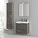 Nameeks ANS52 ACF 23-6/15" Wall Mounted Vanity Set with Wood Cabinet, Ceramic To, Grey Oak