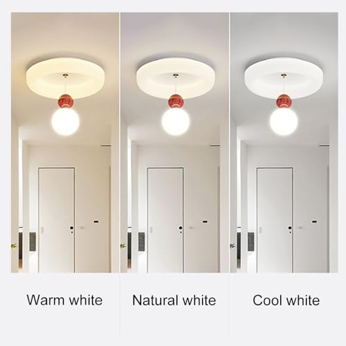 Plafonnier LED moderne à intensité variable avec globe en verre dépoli - 5