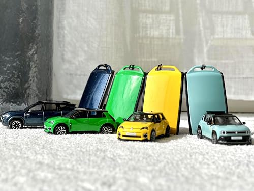 Etui de clé pour R5 peint à la main : le cadeau idéal en vert pop pour passionné