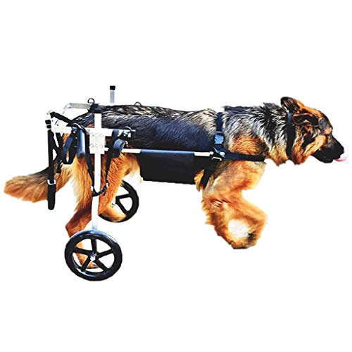 KHUY Carrellino per Cani Anziani Carrello Cane Disabili Grandi Taglia Media Pet Walkin Ruote Piedini Posteriori di Riabilitazione, Cane Cablaggi Auto 15-60kg Cani (Size : Large)