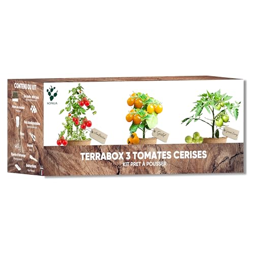 NOPALIA® Kit Tomates Cerises Bio – Mini Potager Intérieur (Green Envy, Ambrosia, Gold Nuggets)...