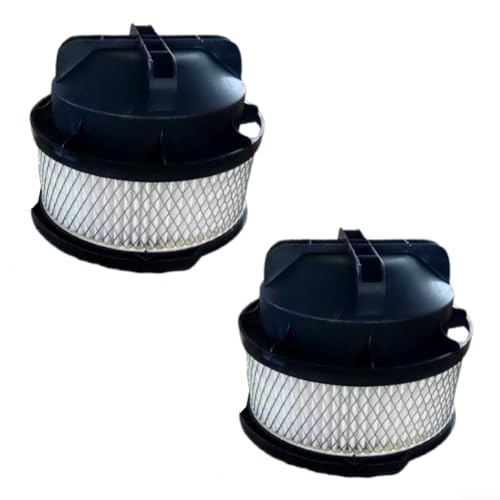 Kit de filtro de repuesto compatible con Parkside ASH PAS 1200 D3 IAN 322109, pieza de repuesto de filtro de aspiradora de cenizas (paquete de 2)