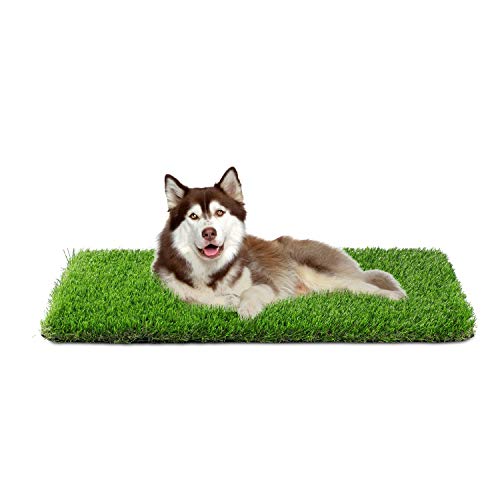 Artificial Grass, Professional Dog Grass Mat, Grass Pee Pad for Pet, Dog Potty Training Rug with Drainage Holes - Easy to Clean, Fake Turf for Indoor & Outdoor Patio Decor Artificial Grass, Professional Dog Grass Mat, Grass Pee Pad for Pet, Dog Potty Training Rug with Drainage Holes - Easy to Clean, Fake Turf for Indoor & Outdoor Patio Decor