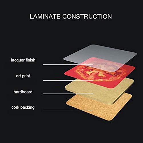 Yayiyo Cork Coaster, Insulation Oil Painting Table Mats For Dining/Kitchen Table Placemat Set Of 2- 15.7 X 11.8 Inch #TOP4