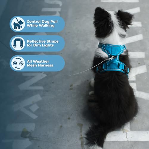 Image of Voyager Dog Harness Dual Leash Attachment No-Pull Control Adjustable Soft but Strong Pet Harness for Medium and Large Dogs with 3M Reflective Technology, Leash Set Turquoise Nylon, M (Chest: 20-25 inch)