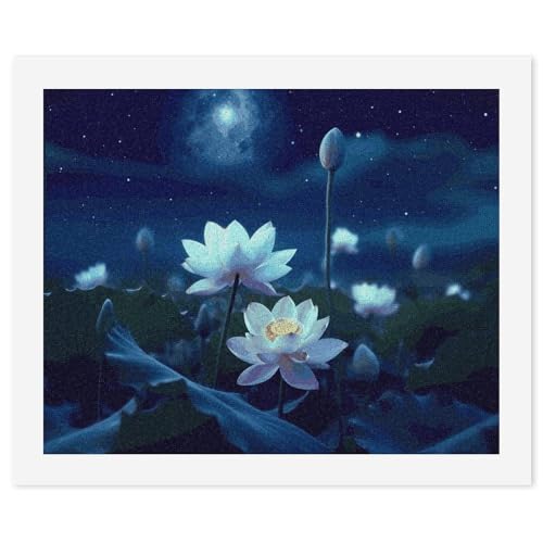 Peinture par numéros fleurs de nuit BWQMNT idée cadeau originale adulte