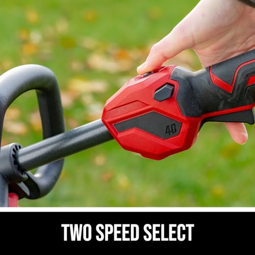 SKIL PWR CORE 40 Brushless 40V 14-Inch String Trimmer Kit with Twist Load, Includes 2.0Ah Battery and 60W Charger - LT1400C-11