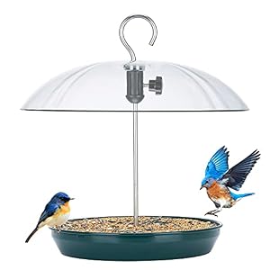 Kingsyard Adjustable Platform Bird Feeder for Outdoors Hanging, Metal Tray Bird Feeder with Dome Top, Attract Bluebirds Cardinals Goldfinches (Green) Kingsyard Adjustable Platform Bird Feeder for Outdoors Hanging Metal Tray Bird Feeder with Dome Top Attract Bluebirds Cardinals Goldfinches Green