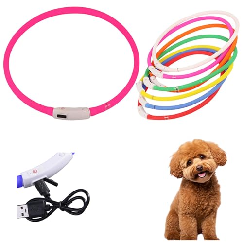 Lifetips ^Cj[v[hiTiny Poodlej Lp LED USB[d h y _炩VR 7FC{[ ԎU S΍ TCY 铹Cg (sN)