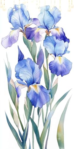 yCgoCio[  hG   DIY yCgŕ`LoX G̋ ԂԂ A[gNtg ȒPSҌ ɂAN qpoXNtgt[X rO z[ ItBX 100X130cm P0-6