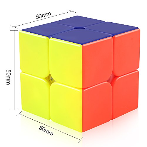 D-Fantix Cyclone Boys 2X2 Speed Cube Stickerless 2 By 2 Magic Cube Puzzles Toys 50Mm #TOP1