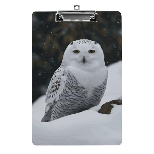Planchette à pince A4 chouette des neiges pour bureau et infirmière