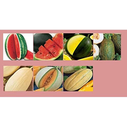 Melonensamen Set 7 Sorten Profisaatgut Melonen Saatgut Melone Crimson Sweet Charentais
